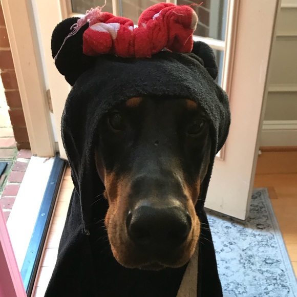 Meet your Posher, S S - Picture 1 of 1